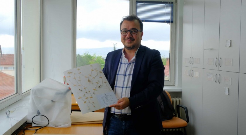 Anadolu &Uuml;niversitesinden d&uuml;nya literat&uuml;r&uuml;ne iki yeni endemik t&uuml;r
